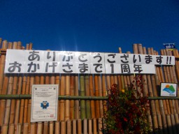 ありがとうございます！