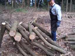 しいたけの原木