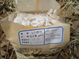 さすがの猿飛にあらず